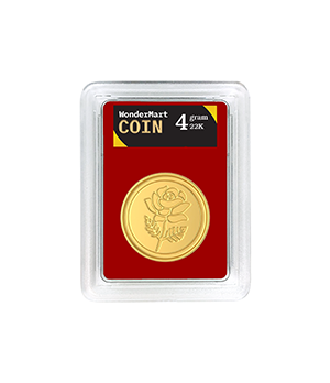 4gcoin